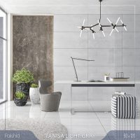 پرسلان نانو پولیش پانیسا